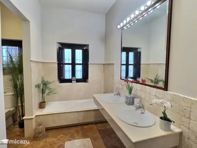 De badkamer van de kingsuite.